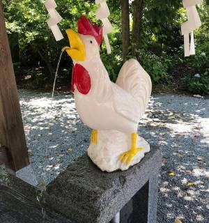 神社の『掟』に「気を付けたいです」　境内の看板に驚き！