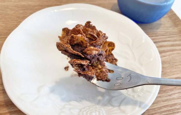 ロールケーキを崩したら…　できたものに「本物みたい」「子供も大喜び」