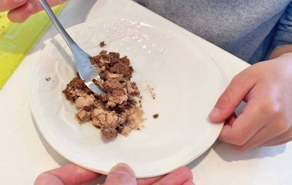 ロールケーキを崩したら…　できたものに「本物みたい」「子供も大喜び」