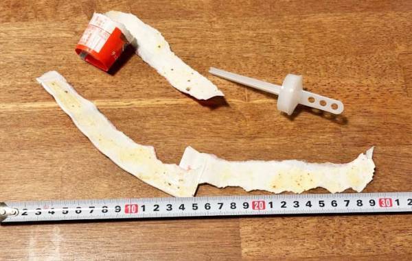 つい買いたくなる『セブンティーンアイス』　江崎グリコの食べ方が「楽しい」「記録更新したい」