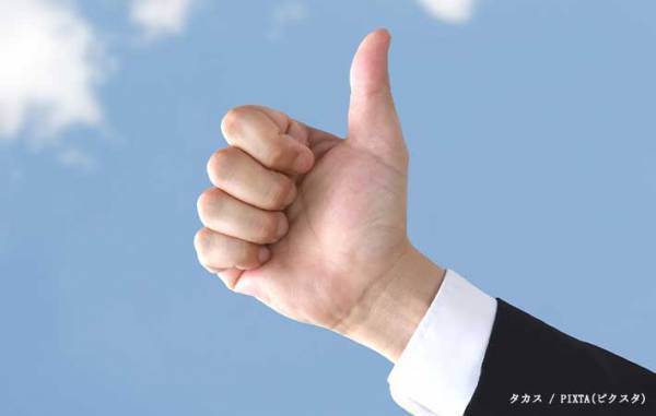 網戸に爪が引っかかった猫　前脚をよく見ると…「ごめん笑った」「車が止まりそう」