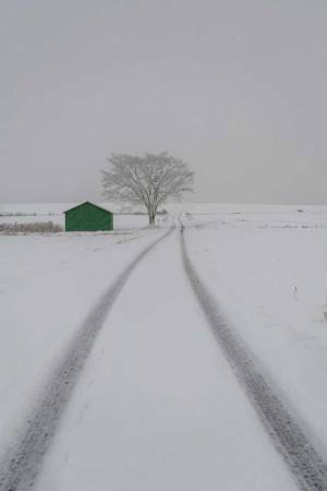 雪の積もった北海道の光景　写真に「絵本のような世界」「国語の教科書の表紙みたい」
