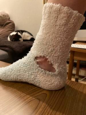 寒い日の朝、靴下を持ってきてくれた愛猫　その後の１枚に「大笑いした」