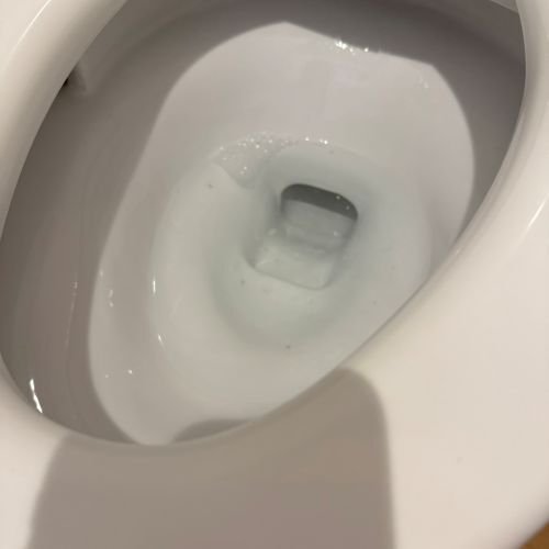 トイレ掃除は「こすりません」　便利アイテムに「早速買う」「超お手軽」