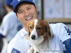 『犬吸い』する大谷翔平　デコピンの顔が…？「爆笑した」「真のMVP」