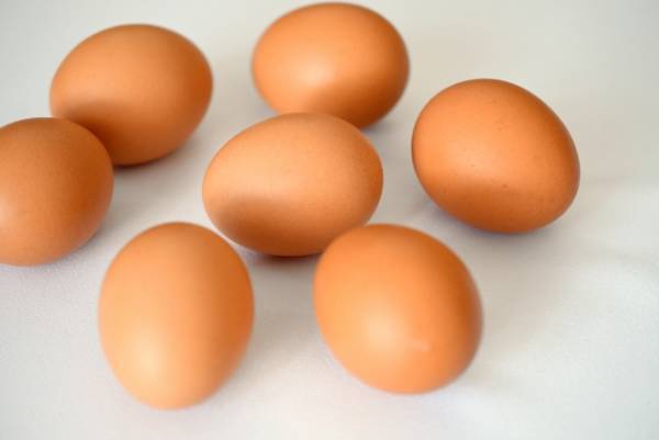 卵の保管　上向き？下向き？　日本卵業協会の情報に「なるほど！」