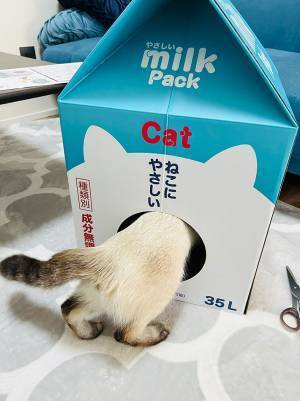 島忠ホームズで売ってた！『巨大牛乳パック』の使い道は…「欲しいです！」