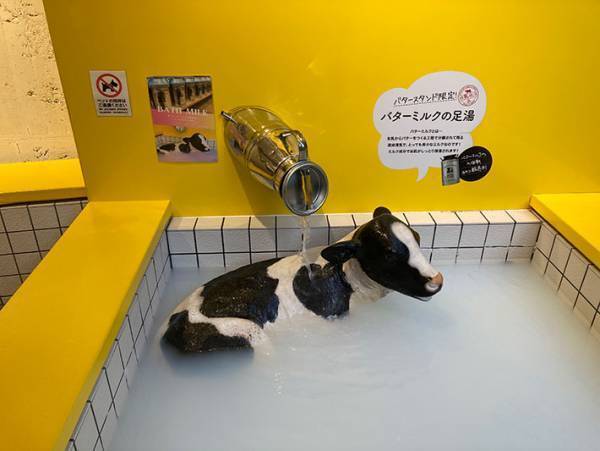 足湯に何かいる！　よく見ると…「先に入ってた」