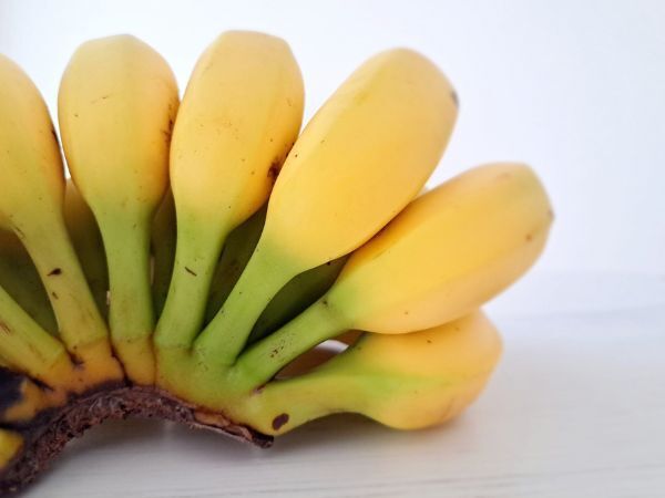 バナナはすぐ冷蔵庫に入れないで！　保存テク３選に「意外」「勘違いしてた」