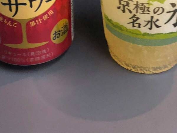 氷にサワーを入れた光景　北海道民が飲んでいる場所が？　「駅弁と一緒だとベスト」