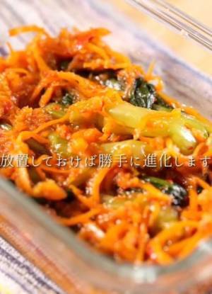 「白菜は使いません」　小松菜で代用したら？　「お酒が進む」「箸止まらん」