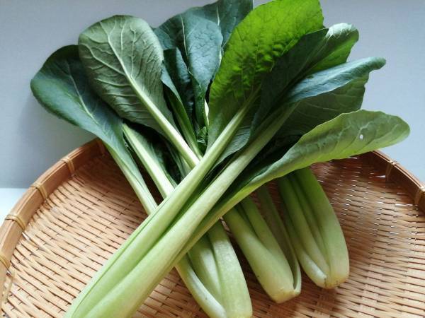 「白菜は使いません」　小松菜で代用したら？　「お酒が進む」「箸止まらん」