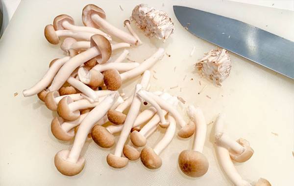 箸が止まらない！　火を使わない『無限きのこ』がうますぎた