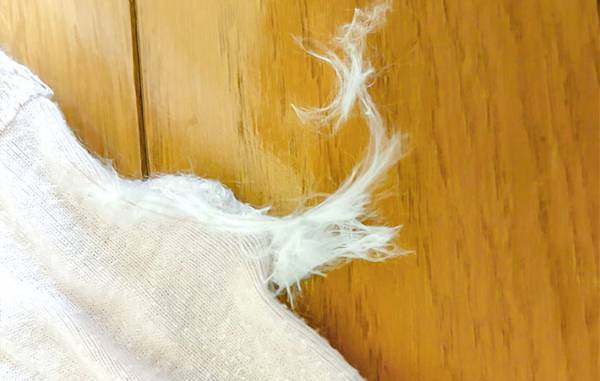 まだハサミで切ってる？　服のタグは「こうカットして！」