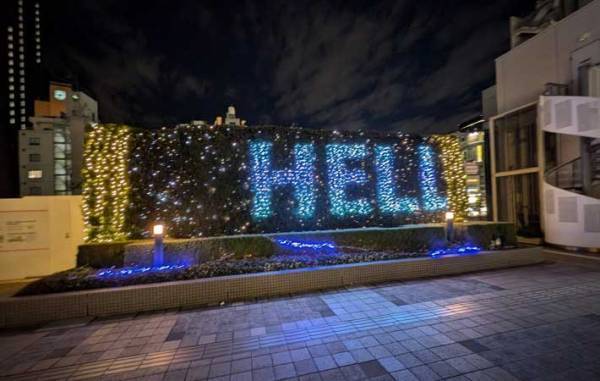 「今年１番笑ったかも」　女性が撮ったイルミネーション写真に『７万いいね』