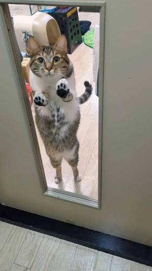 「定時で帰ります」　見せた１枚に「上司も納得」「いや、早退しよう」