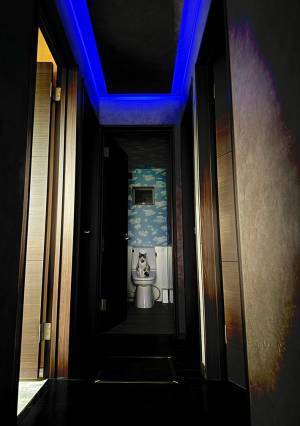 トイレの便器の上には？　『猫神様』に「神々しい！」「実在するんだ」