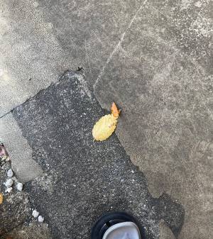 「疲れが全部吹き飛んだ」　エビの天ぷらかと思ったら…「くだらなすぎて笑った」