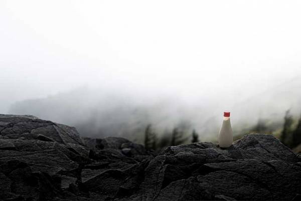 「マヨネーズで初めて感動した」　シュールな写真に『２２万いいね』