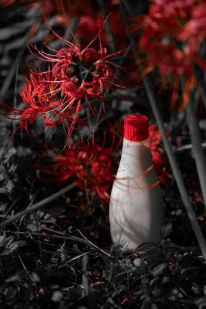 「マヨネーズで初めて感動した」　シュールな写真に『２２万いいね』