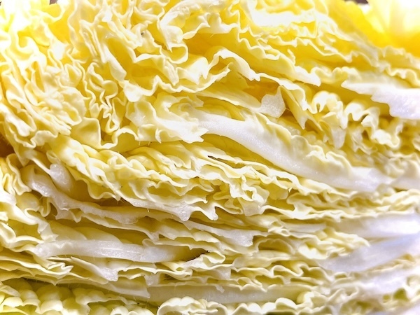 『あえて巻きません』　重ねて作ったロールキャベツが…　「むしろコレ」「すごい！」