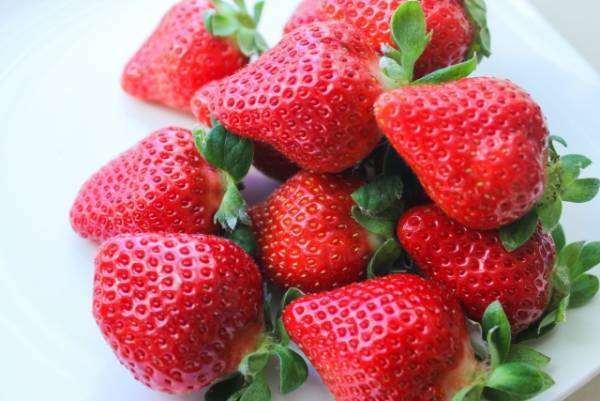 枕は天日干しと陰干し、どっちがいい？　二択の正解５選に「勘違いしてました」