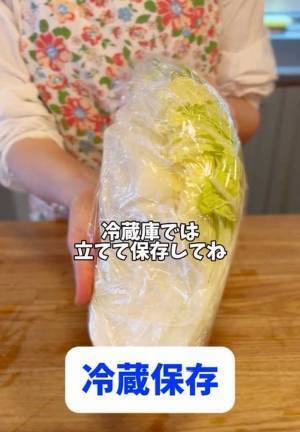 白菜を冷凍するコツは？　芯の部分を…　「火が通りやすくなる！」