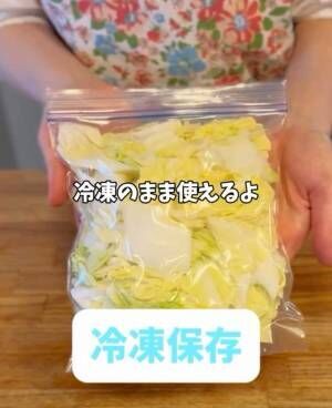 白菜の保存