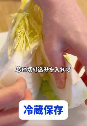 白菜を冷凍するコツは？　芯の部分を…　「火が通りやすくなる！」