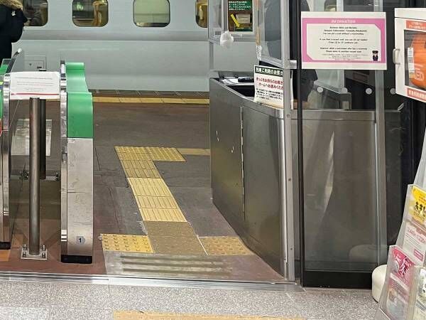 「脳がバグる」といわれた駅のホーム　光景に「旅行している感があって好き」