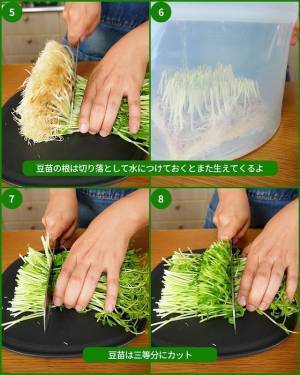 使い道が思い付かない豆苗　活用法に「毎日食べたい」「秒でできる」