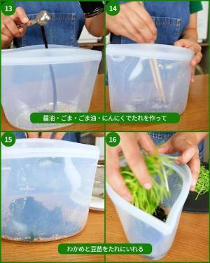 使い道が思い付かない豆苗　活用法に「毎日食べたい」「秒でできる」