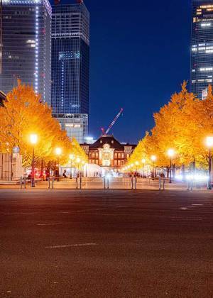 「クレーンがちょんまげみたい」　JR東京駅で撮った１枚に「気付かなかった」