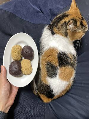 「これは完全一致」　皿の上を見ると？「奇跡じゃん」「すごすぎる」