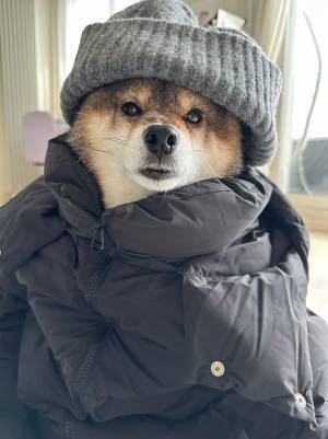 『オールGU』コーデに「笑った」　着こなしていたのは…「なぜだろう、違和感がない」