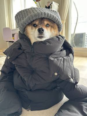 『オールGU』コーデに「笑った」　着こなしていたのは…「なぜだろう、違和感がない」