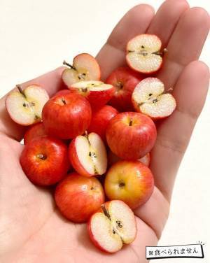 リンゴの写真に「え、違うの？」「食べられないなんて」　正体に衝撃
