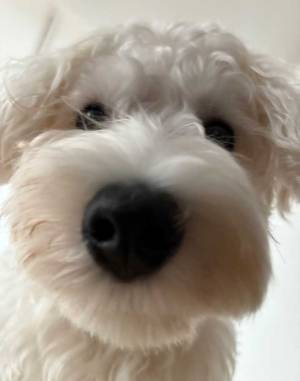 「最高すぎる」目覚めに２万『いいね』　ワケに「分かる」「羨ましい」