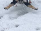 飼い主「あまりにも楽しそうだから見て…」　雪を見てテンションが上がった柴犬が、こちら