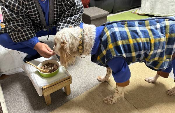 寒そうな犬に、チョッキを着せると？　父親と写る１枚に「種を超えた愛」