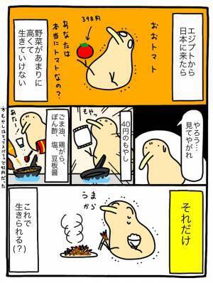 「野菜があまりにも高い」　エジプトから帰国した男性が選んだ食材が？