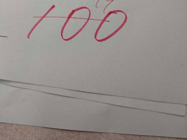 テストで『１００点』を取った高校生　その後、『９９点』になったワケに関心