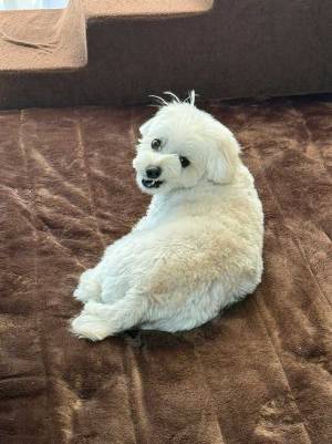 飼い主「かわいい顔してるかな～」　名前を呼んだら…？　表情に爆笑！