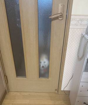 ファンヒーターをつけると現れる…　１枚の写真に「心霊写真っぽい」