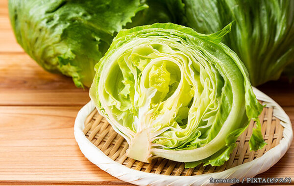 ひと玉すぐになくなりそう！　JAが太鼓判を押す！簡単『レタスレシピ３選』