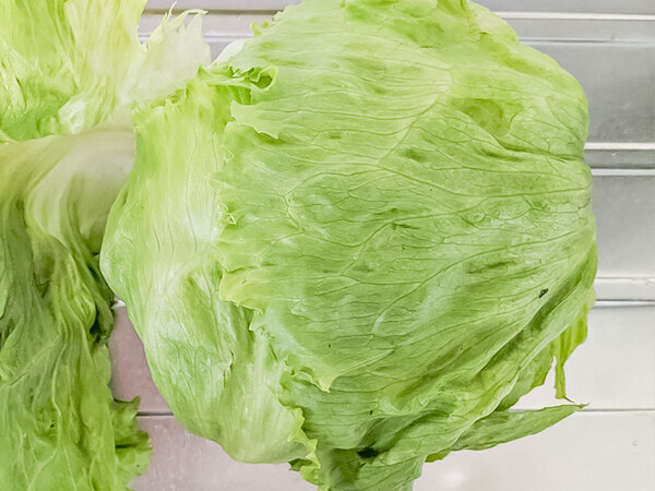ひと玉すぐになくなりそう！　JAが太鼓判を押す！簡単『レタスレシピ３選』