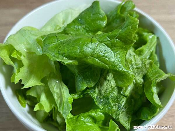 レタスには栄養がないのは本当？　JAの回答に「そうだったのか」