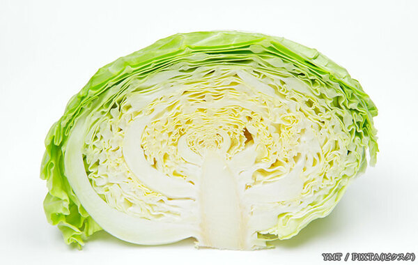 「捨てないで！」　JA嬬恋村が芯の食べ方をアドバイス