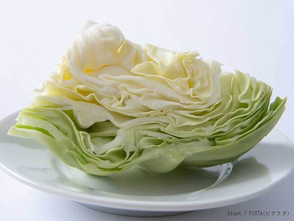 断面が黒くなる前に…　『JA嬬恋村』が教える！カットキャベツの保存方法