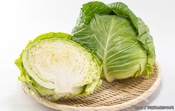 断面が黒くなる前に…　『JA嬬恋村』が教える！カットキャベツの保存方法